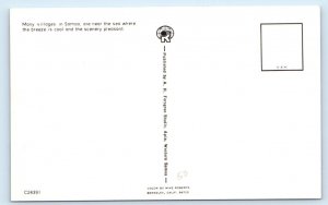 Village Scene in SAMOA Postcard