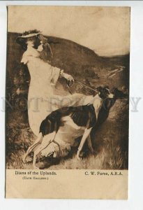439115 FURSE Belle Diana of the Uplands GREYHOUND Dogs Vintage postcard