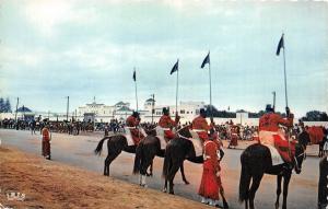 BG30394 folklore types horse la garde et le palais royal morocco   CPSM 14x9cm