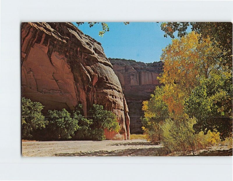 Postcard Fall completes the color in Canyon De Chelly National Monument AZ USA