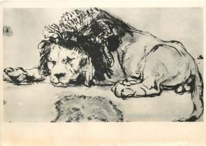 Postcard animals topic animaux art Rembrandt - Lion leon