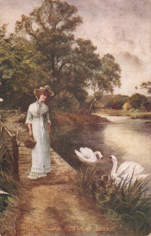 Lady and swans. A Sylvan Retreat Nie vintage American postcard