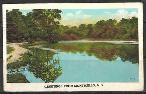 New York, Monticello - Greetings - [NY-040]