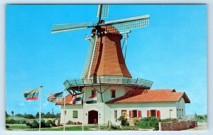 The Dutch Mill ARUBA Postcard