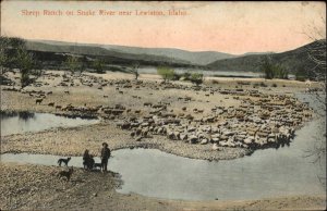 Lewiston Idaho ID Sheep Ranch on Snake River c1910 Vintage Postcard