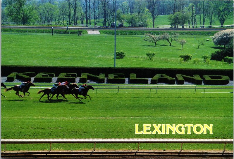 VINTAGE CONTINENTAL SIZE POSTCARD KEENELAND RACE COURSE LEXINGTON KENTUCKY