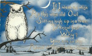 Artist Impression 1912 Postcard Owl night Scene greeting 11298