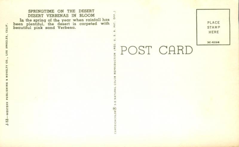 Springtime on the Desert - Verbenas Flowers in Bloom - California