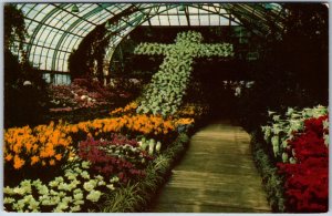 VINTAGE POSTCARD FLORAL DISPLAY AT IRWIN M. KROHN CONSEVATORY CINCINNATI OHIO