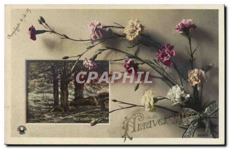 Fantasy - Party - Birthday - 1915 - Flowers - Carnation - Old Postcard