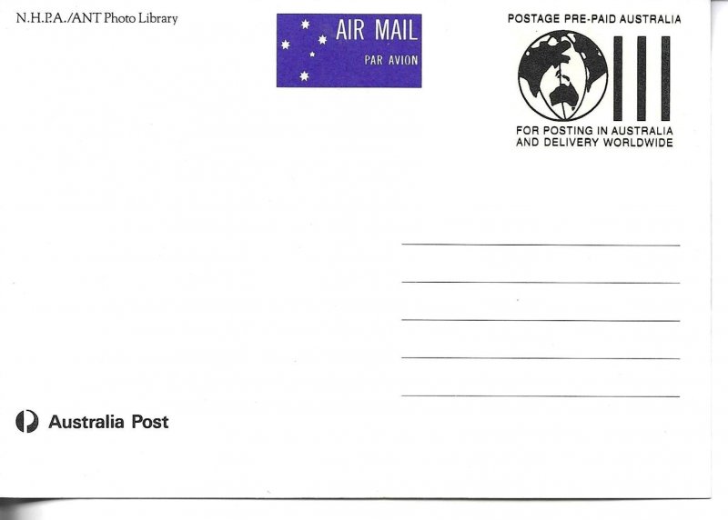 Dog  Australia Maximum card issued July 1990