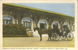 Horse Drawn Tourist Carriage on Mount Royal - Montreal QC, Quebec, Canada - WB