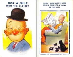 2~Bamforth Comic Postcards  SMILE From OLD BOY & SEVEN RESULTS Cat & Kittens