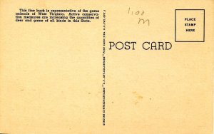 WV - The Mountaineer