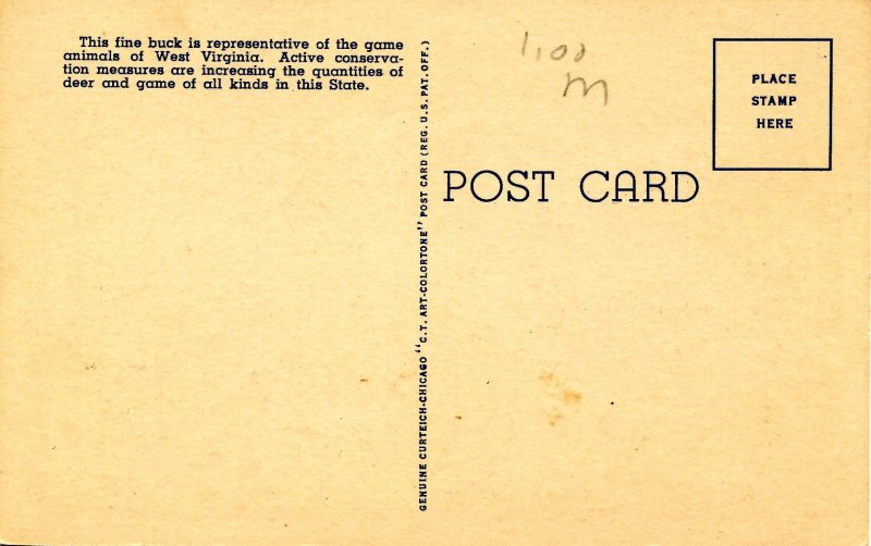 WV - The Mountaineer