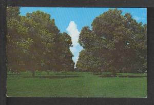 Pecan Grove Postcard 