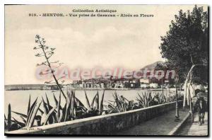 Old Postcard Menton Garavan Vue Prize From Aloes In Flowers