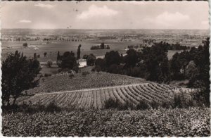 CPA BERGERAC Les Coteaux et les Vignobles de Monbazillac (122103)