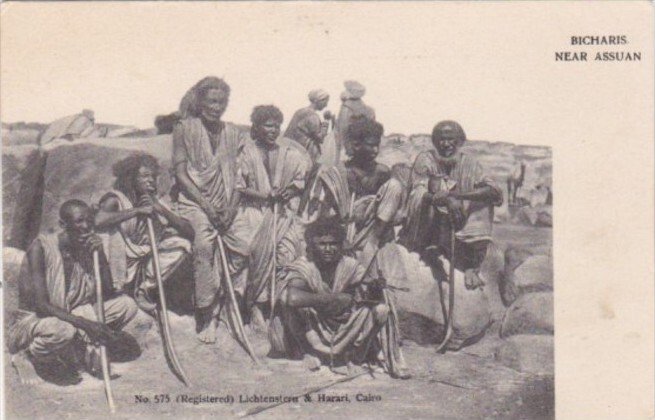 Egypt Group Of Native Bichards Near Assuan