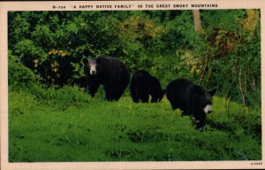 A Happy Native Family in the Great Smoky Mountains   PC