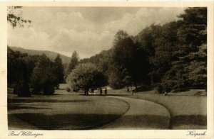 CPA AK Bad Wildungen Kurpark GERMANY (899489)