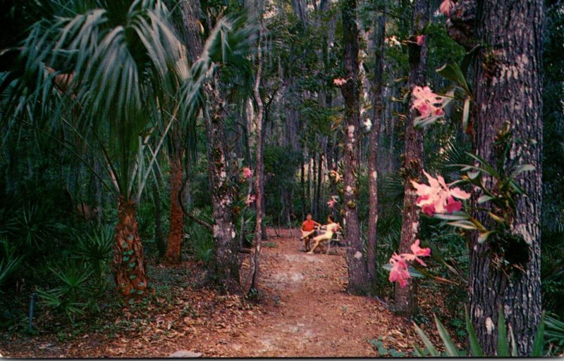 Florida Weeki Wachee Orchid Gardens