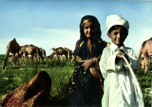 saudi arabia, Desert Children with Camels (1970s) Postcard