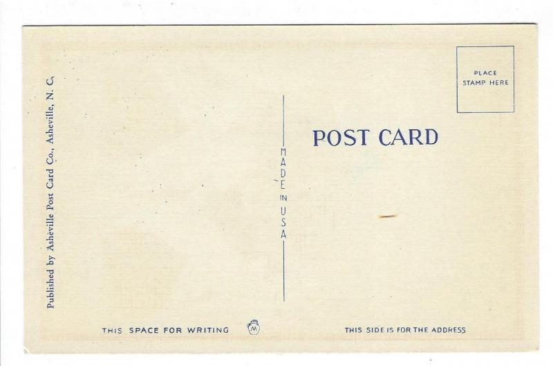 Est Early 1900s Black Americana Postcard -  (QQ149)