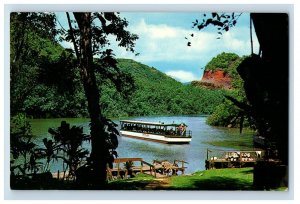 Vintage Fern Grotto, Wailua River Kauai Hawaii. Postcard P109E