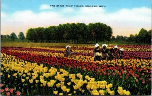 Vtg 1940s Van Bragt Tulip Fields Holland Michigan MI Linen Postcard