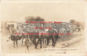 Mexico Border War, RPPC, Wounded Brought to Los Ramones in Ox Carts, Runyon