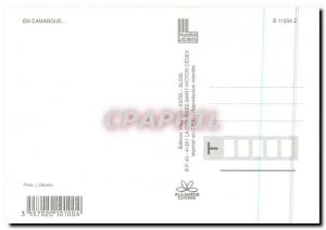 Postcard Modern Camargue