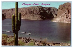 Canyon Lake Arizona AZ Postcard Picnic Bathing And Boating Resort 1969 Vintage