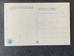 Old National Museum Washington DC Litho Postcard H2032084135