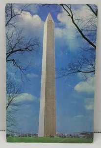 White House Washington Monument Washington DC Vintage Postcard