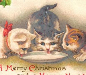 1880s Embossed Victorian Christmas & New Year's Card 3 Adorable Kittens Cat F133