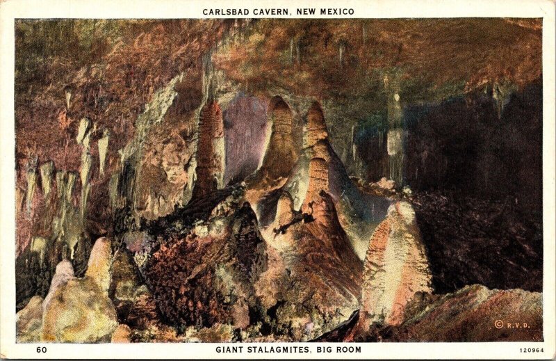 Giant Stalagmites Big Room Carlsbad Caverns National Park New Mexico WB Postcard 