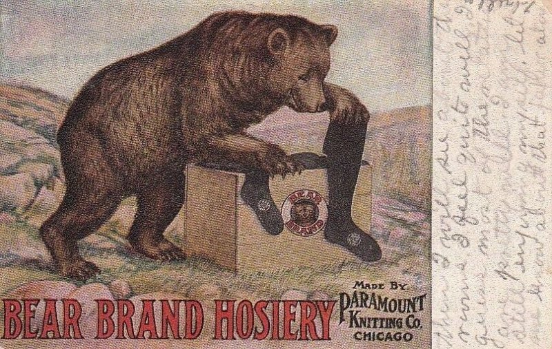 Postcard Advertising Bear Brand Hosiery Paramount Knitting Co Chicago IL