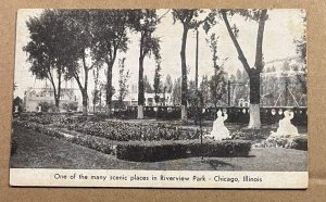 (CARDBOARD LIKE STOCK) PC UNUSED - SCENIC PLACE, RIVERVIEW PARK, CHICAGO, ILL.