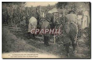 Old Postcard Folklore Wine Vintage Champagne Vineyards in Champagne Dresses P...