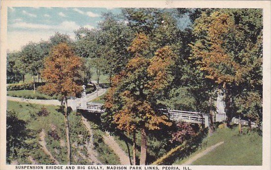 Illinois Peoria Suspension Bridge And Big Gully Madison Park Links