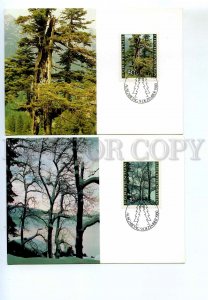 440807 Liechtenstein 1980 year set First Day maximum cards nature forest seasons