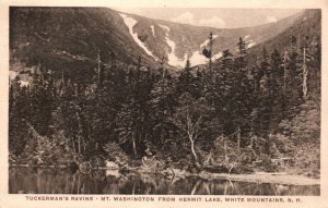 Vintage Postcard 1939 Tuckerman's Ravine Mt. Washington From Hermit Lake NH