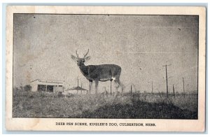 1946 Deer Pen Scene Kugler Zoo Culbertson Nebraska NE Antique Vintage Postcard