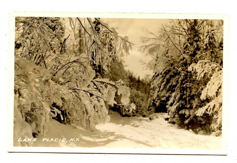 NY - Lake Placid. Woods in Winter Scene       *RPPC