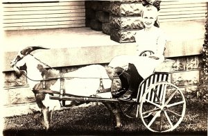 c1910 GIRL BILLY GOAT CART PAULINE AUGSPURGER AZO RPPC POSTCARD P1707