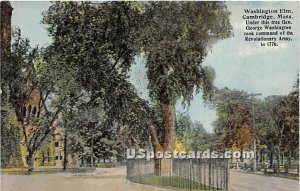 Washington Elm - Cambridge, Massachusetts MA Postcard
