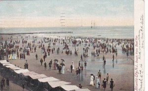 New Jersey Atlantic City Atlantic City Beach From Steel Pier 1906