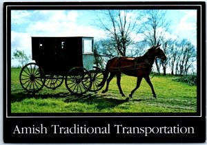M-86613 Horse and Buggy Amish Traditional Transportation