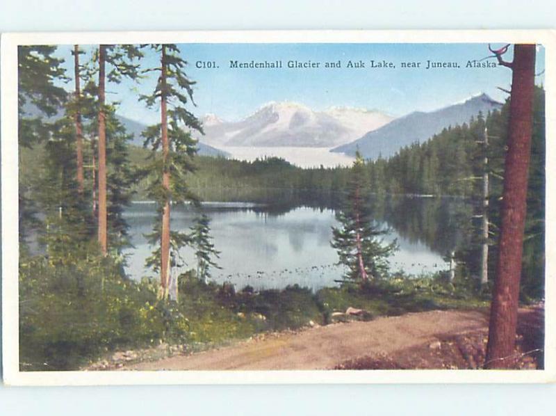 W-Border ROAD BY GLACIER AT AUK LAKE Juneau Alaska AK F4092